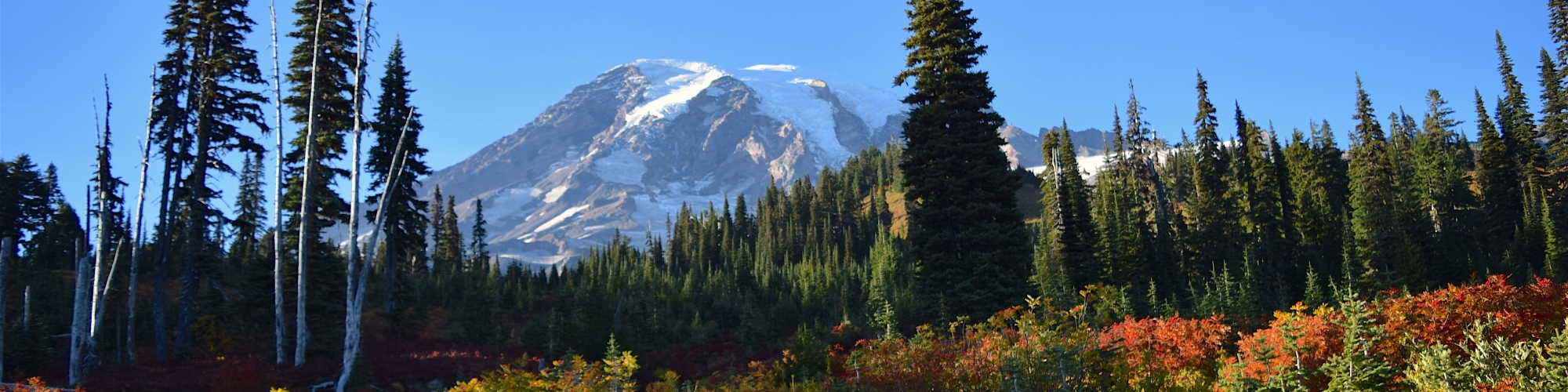 Mount Rainier2_banner