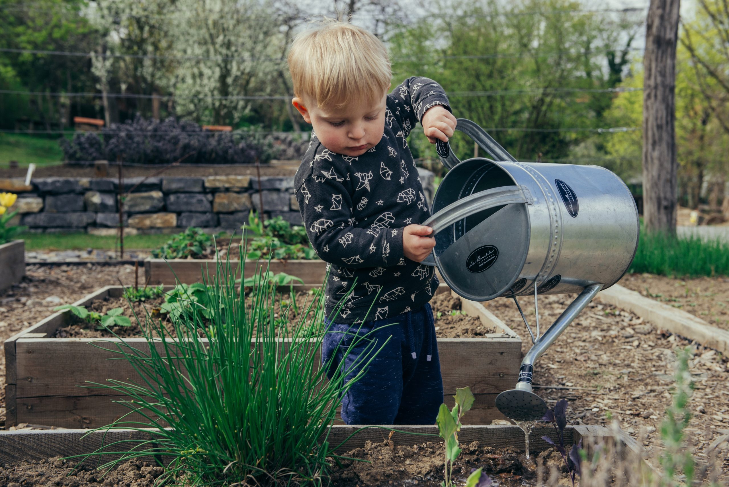 Yard Maintenance3